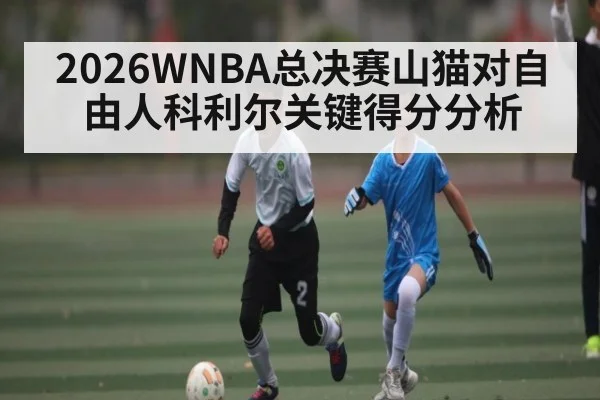 2026WNBA总决赛山猫对自由人科利尔关键得分分析